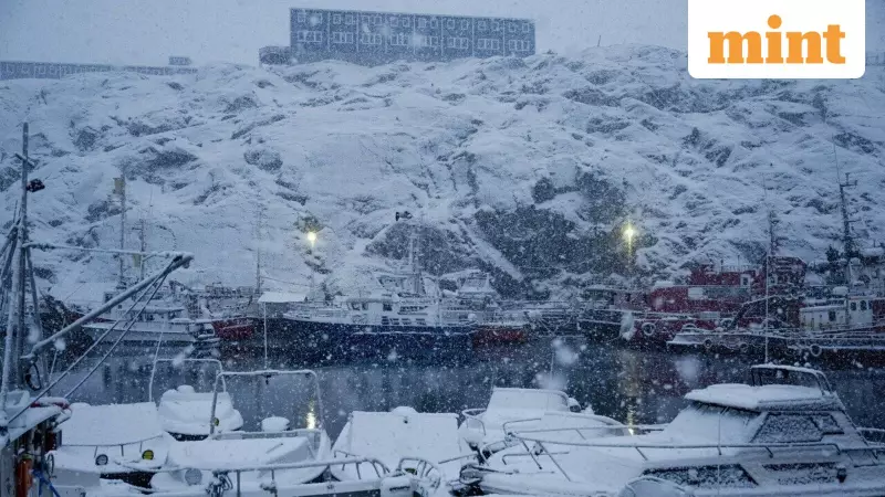 Greenland's Economy: Shrimp, Subsidies, and Strategic Dreams