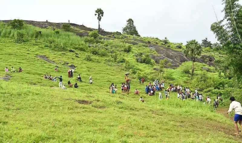 Groundwater Quality Deteriorates in Kerala's Rice Bowl Region, Study Reveals