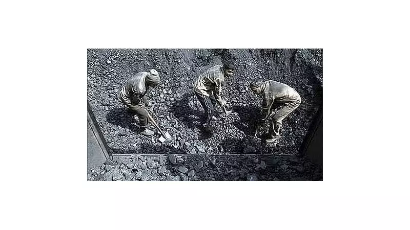 Gujarat Announces Rs 3 Lakh Ex Gratia and Unlimited Medical Aid for Silicosis Patients