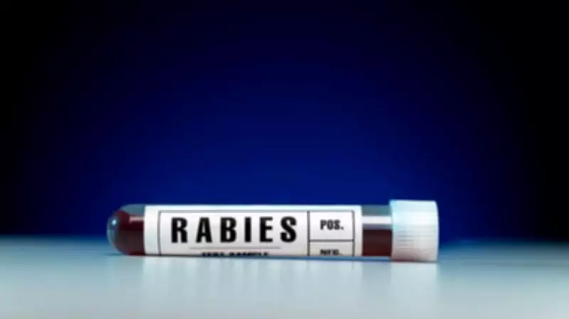 Gujarat Man with Rabies Exhibits Animal Behavior, Hospital Requires Police & Forest Dept Aid