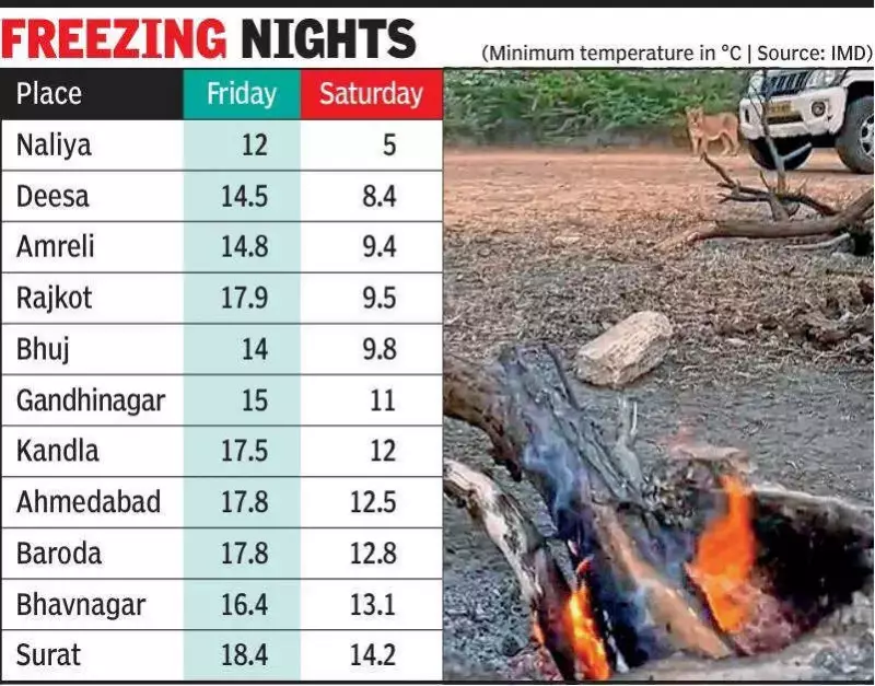 Gujarat Shivers as Cold Winds Sweep State, Temperatures Plummet Below Normal