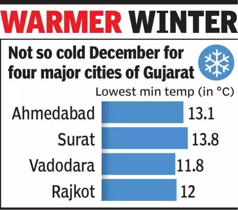 Gujarat's Winter Warmth: No Cold Wave for Second Year, IMD Data Reveals