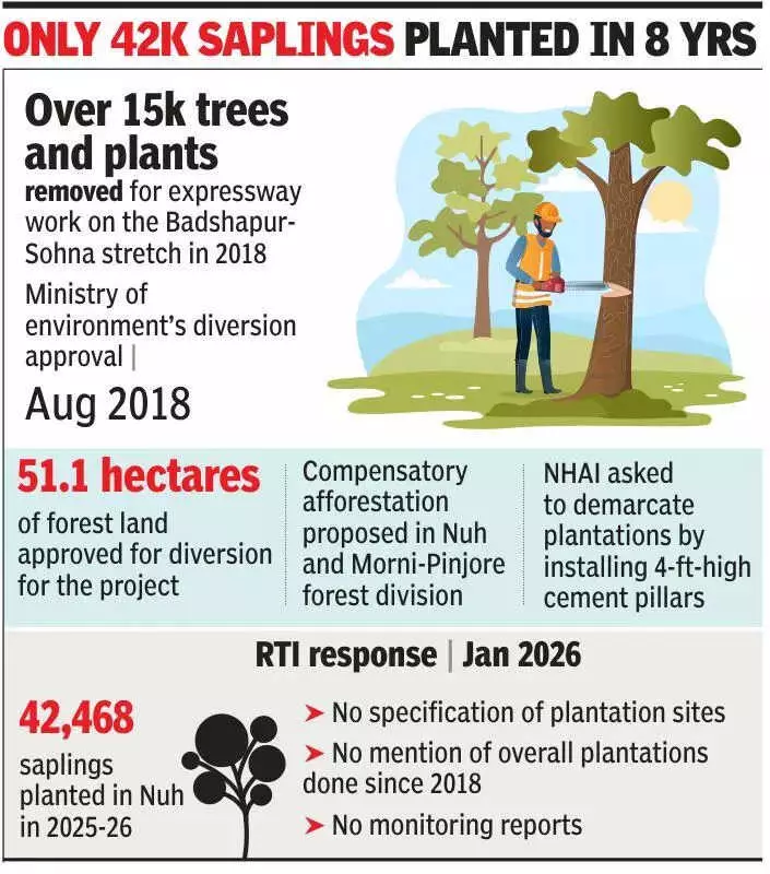 Gurgaon Expressway Forest Diversion: 8 Years On, Compensatory Afforestation Details Remain Murky