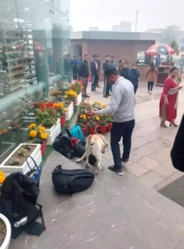 Gurgaon Schools Evacuated After Bomb Threat Emails, Police Confirm Hoax