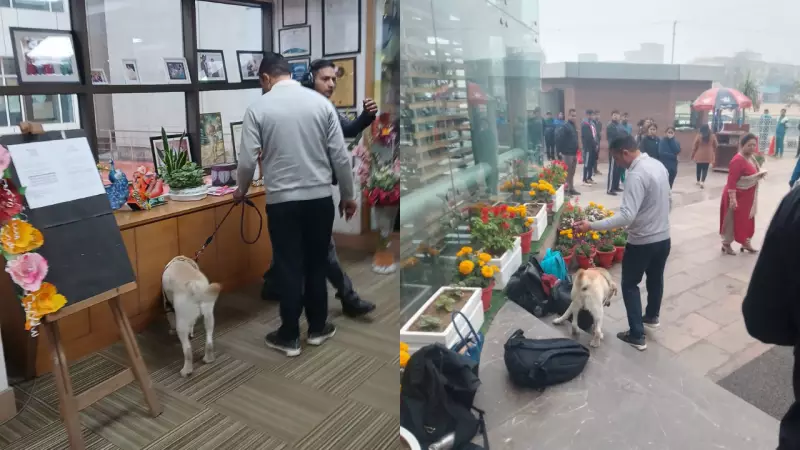 Gurgaon Schools Face Bomb Threat Email, Police Launch Swift Security Response