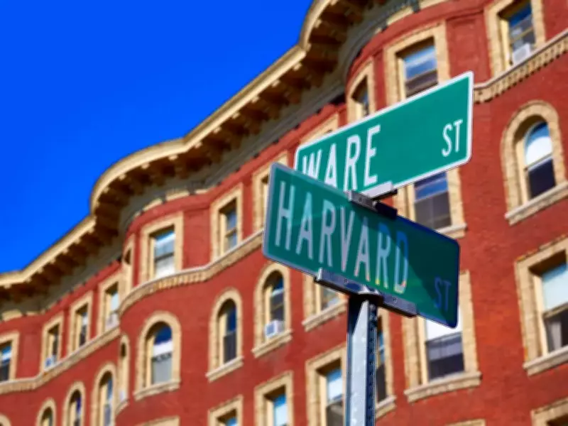 Harvard College Launches Centralized Summer Funding System for Equity