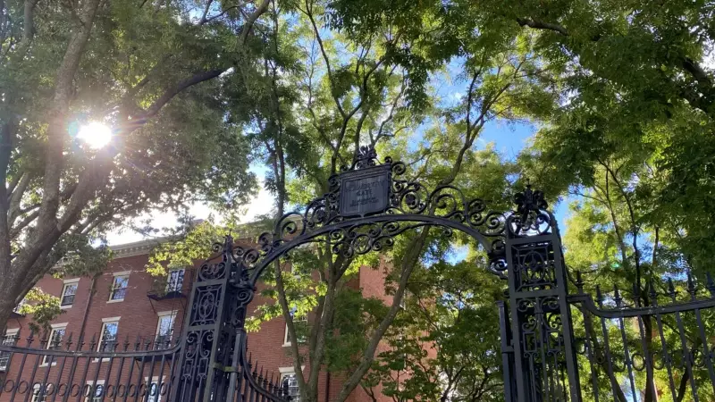 Harvard Sees 31% Drop in Indian Students Amid US Migration Shift