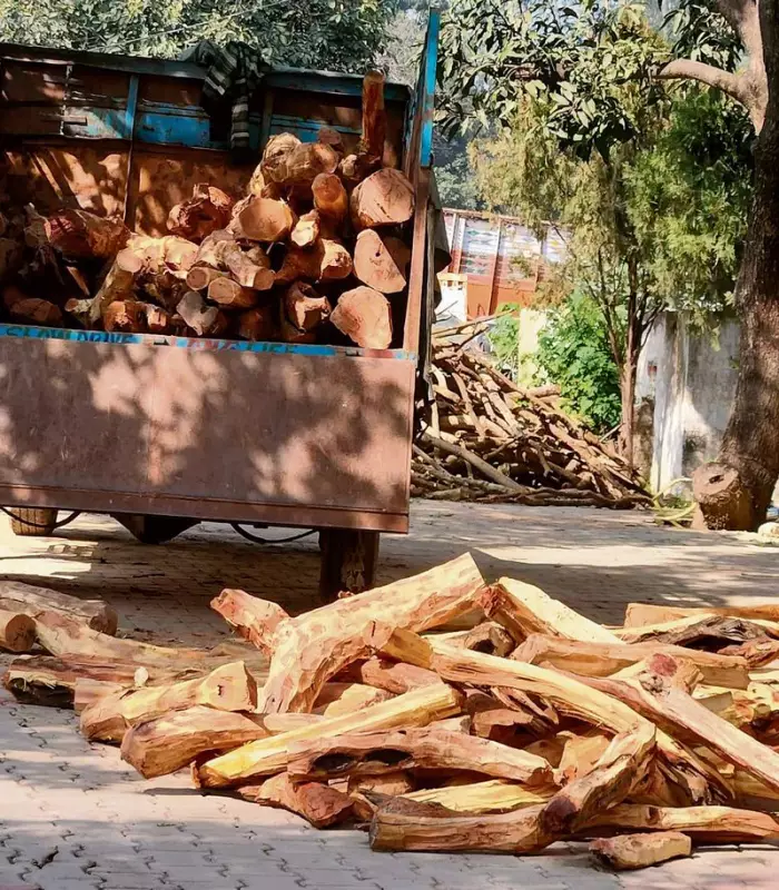 Haryana Forest Officials Seize Punjab-Bound Truck Carrying 460 Illegal Khair Logs in Yamunanagar