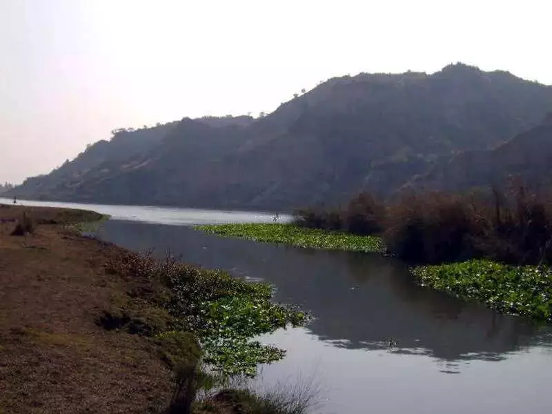 Haryana Forms High-Level Panel on Water Act After Court Pull-Ups