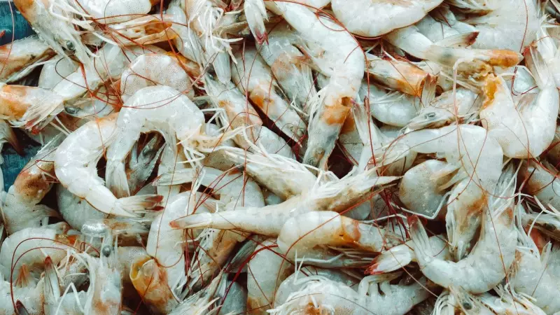 Haryana Minister Pushes Local Fish Markets to Boost Farmer Income