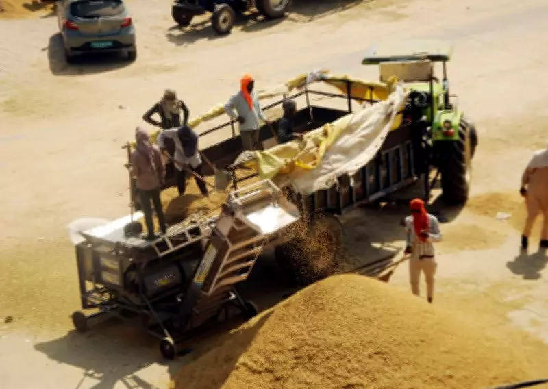 Haryana Paddy Procurement Scam: Another Arrest Made as Investigation Deepens