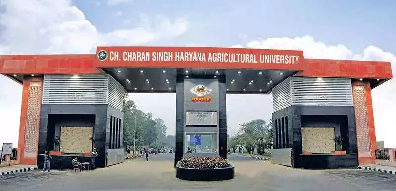 HAU Scandal: Garg Report Exposes Irregularities, VC Under Fire