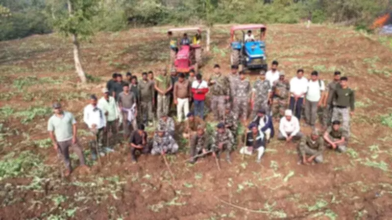 Hazaribag Police, Forest Dept Destroy 100 Acres of Illegal Poppy Cultivation