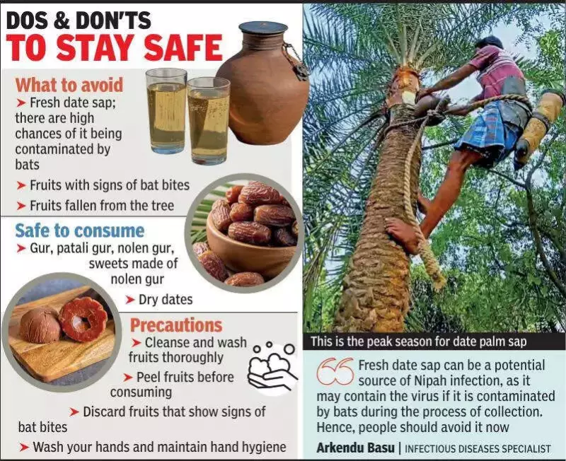 Health Alert: Kolkata Warned Against Fresh Date Palm Sap Amid Nipah Virus Risk