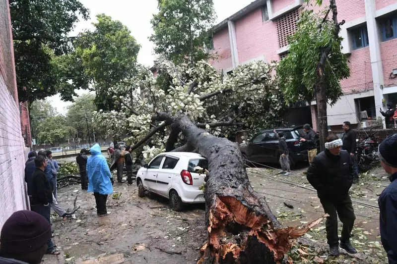 Heavy Rain and Winds Uproot Tree, Damage Cars in Chandigarh's Sector 29
