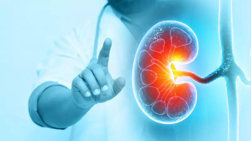 Hidden Dangers of Unexplained Kidney Disease: What You Need to Know