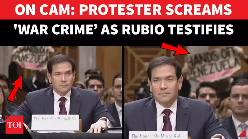 High Drama in US Senate: Rubio's Venezuela Testimony Interrupted by 'War Crime' Protester