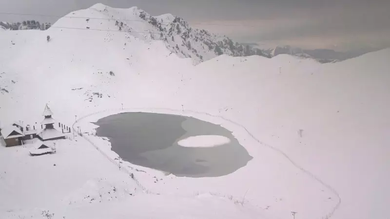 Himachal Horticulture Department Issues Advisory for Apple Orchards After Heavy Snowfall