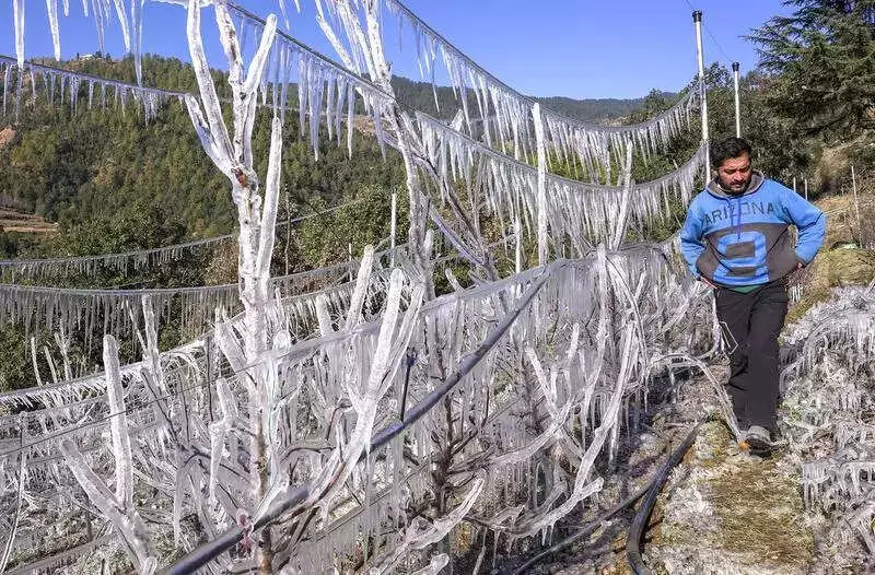 Himachal Pradesh Shivers: Kukumseri Hits -10.8°C, Cold Wave Grips State