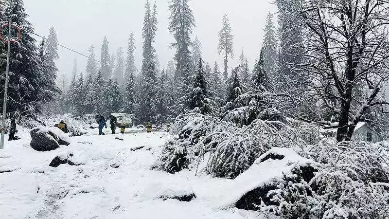 Himachal Pradesh Shivers Under Cold Wave, Snowfall Forecast for Coming Days