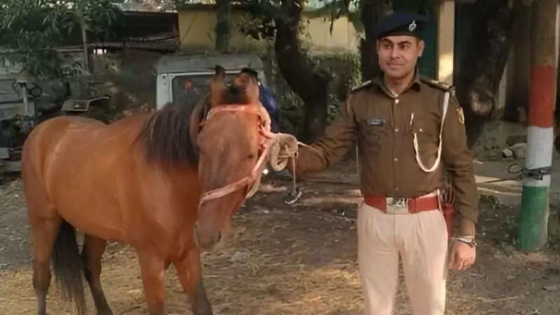 Horses, Trains & Hidden Compartments: Bihar's Booze Smugglers Get Creative