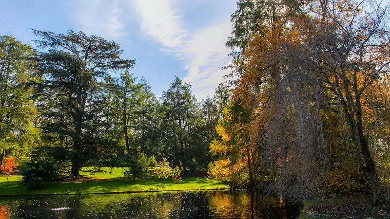 How American Nostalgia is Shaping Modern Travel Trends in India