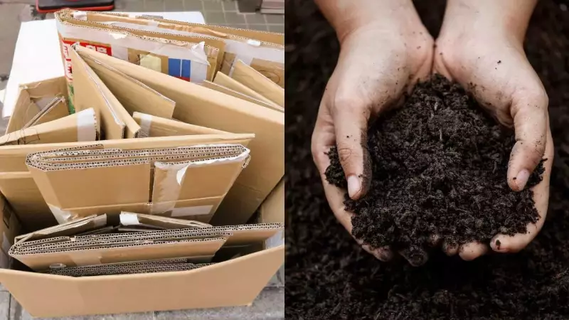 How Cardboard Transforms Winter Gardens: The Lasagna Composting Method