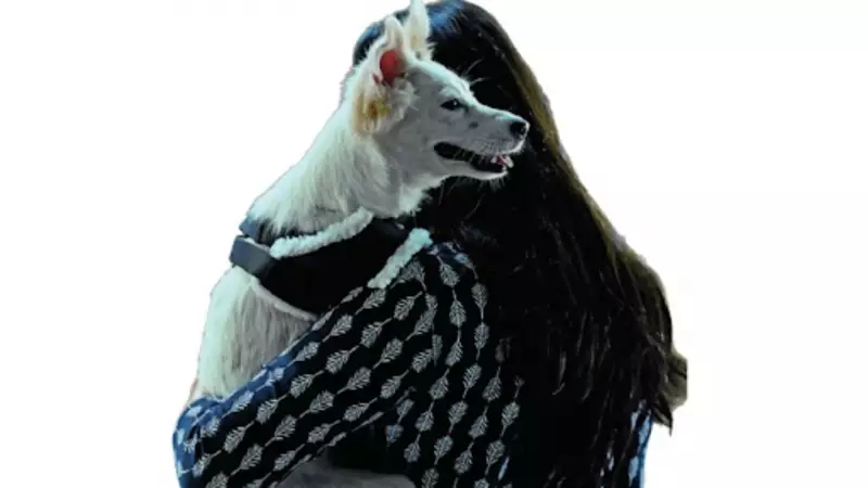 How Dogs Boost Mental Health: New Study Links Pets to Gut Bacteria & Empathy