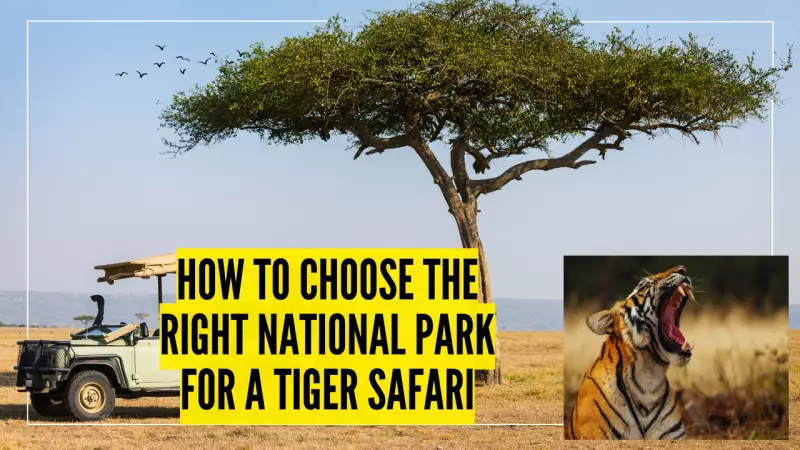 How to Choose the Perfect Tiger Safari in India: A Comprehensive Guide