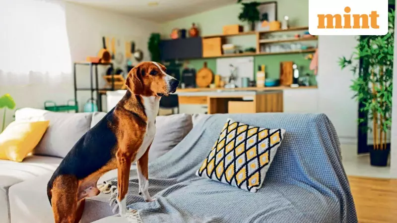 How to Secure Your Pet's Future in Your Will: A Mumbai Sikh's Guide