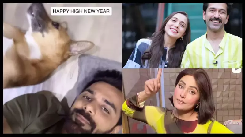 How TV Stars Like Hina Khan, Ashnoor Kaur Welcomed 2026 in Unique Ways
