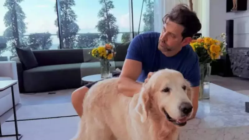 Hrithik Roshan's Heartwarming Bond with Dog Zane Steals Spotlight