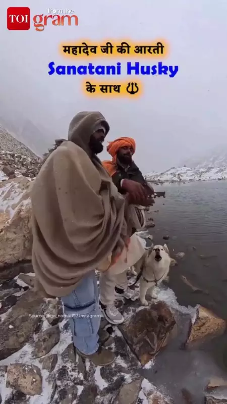 Husky Dog Participates in Mahadev Aarti, Video Goes Viral Online