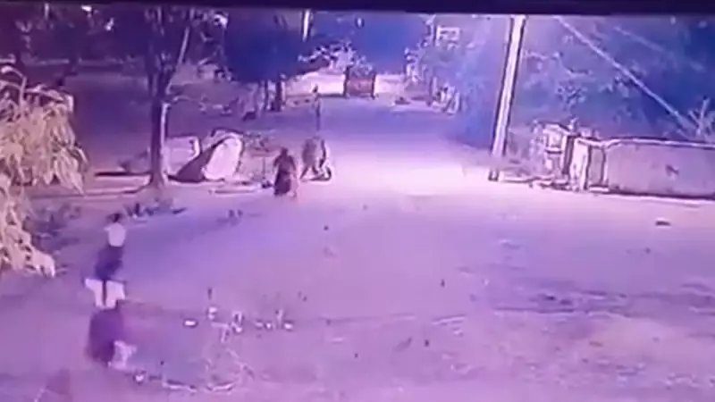 Hyderabad Class 8 Student Dies After Jumping from Moving Auto-Rickshaw, Parents Allege School Negligence