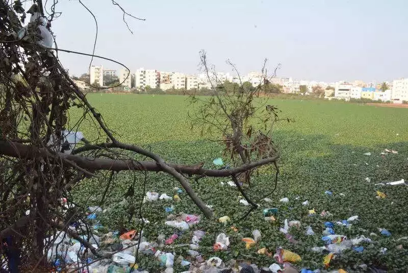 Hyderabad Mosquito Menace Intensifies Amid GHMC Reorganization, Lake Maintenance Stalled