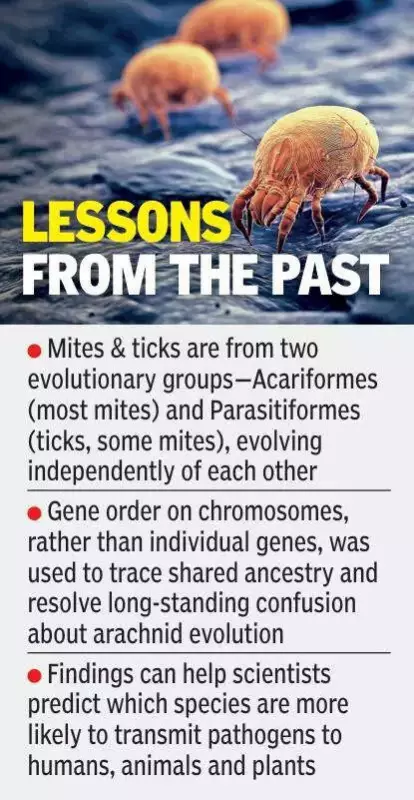 Hyderabad Study: 90 Arachnid Genomes Reveal Mite & Tick Evolution