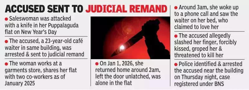 Hyderabad: Waiter arrested for molesting, knifing woman in flat on New Year