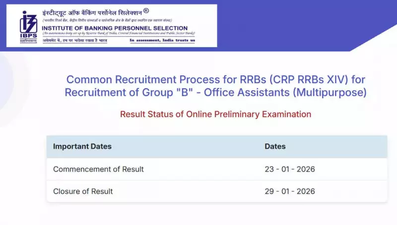 IBPS RRB Clerk Prelim Result 2025 Declared: Check Status Now