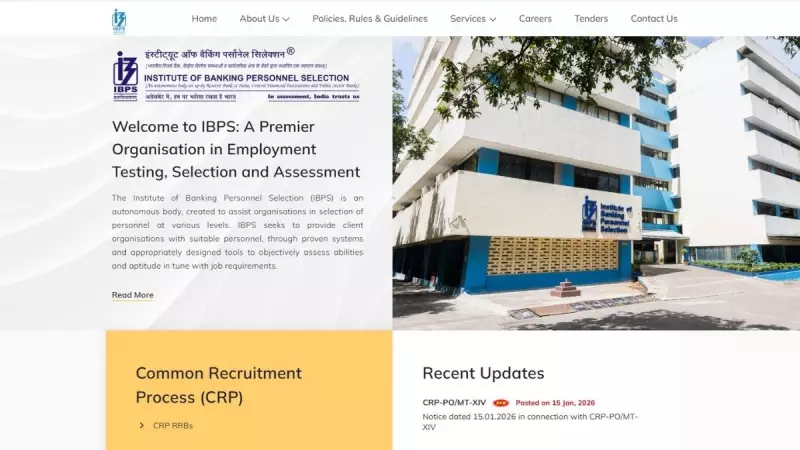 IBPS RRB Clerk Prelims Result 2025 Declared: Download Scorecard Now
