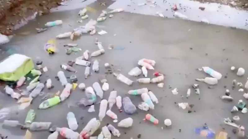 IFS Officer's Viral Video Exposes Plastic Waste at 13,000 Feet in Himachal