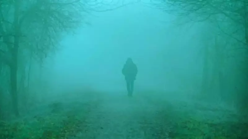 IMD Forecast: Cold Wave, Dense Fog, and Western Disturbance to Impact India