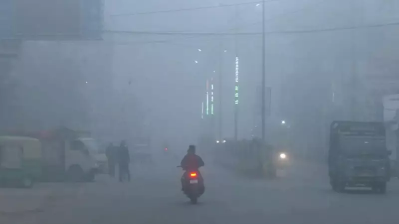 IMD Forecast: Cold Wave, Dense Fog to Grip North India on January 8