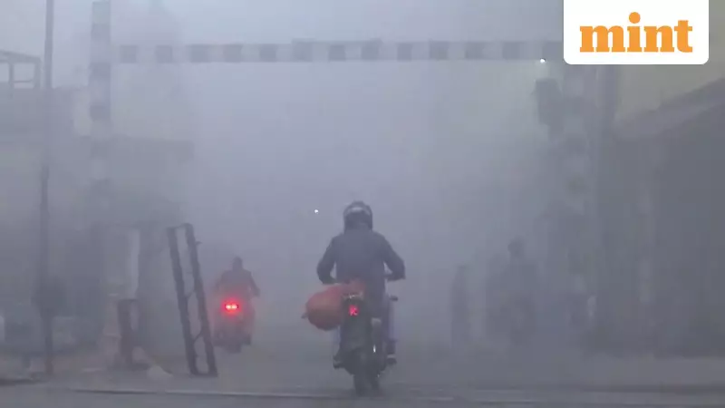 IMD Forecasts Severe Cold Wave to Continue in North India for 2-3 Days