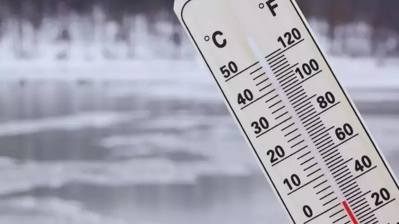 IMD Issues Severe Weather Alert: Heavy Rain in South, Cold Wave Grips North India