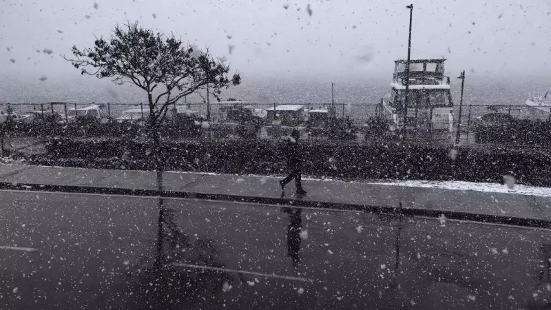 India Braces for Active Weather: Dual Western Disturbances to Bring Rain, Snow, Fog