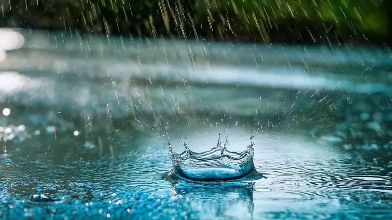 India Braces for Dual Winter Extremes: Severe Cold in North, Heavy Rain in South from Jan 11