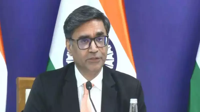 India Intensifies High-Level Push for Ariha Shah's Return from German Foster Care