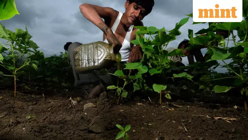 India Launches 185 New Seed Varieties to Boost Cotton, Rice, and Pulses Output