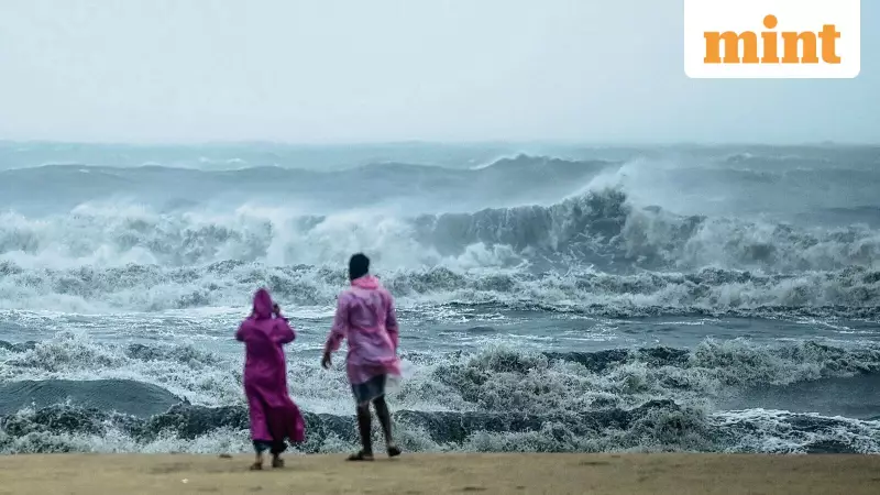 India Needs Its Own Marine Carbon Removal Research to Protect Coastal Future