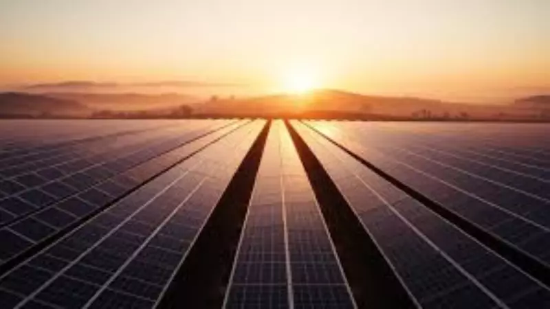 India Powers Up: Adds 4.8 GW Renewable Energy in Q1 FY25